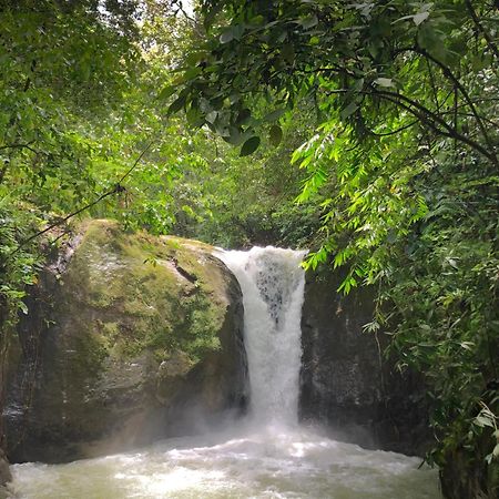 Rio Tico Safari Lodge Punta Mala Eksteriør billede