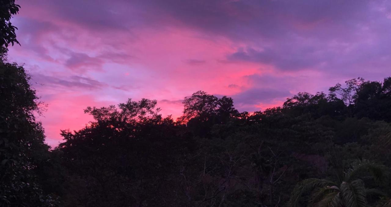 Rio Tico Safari Lodge Punta Mala Eksteriør billede