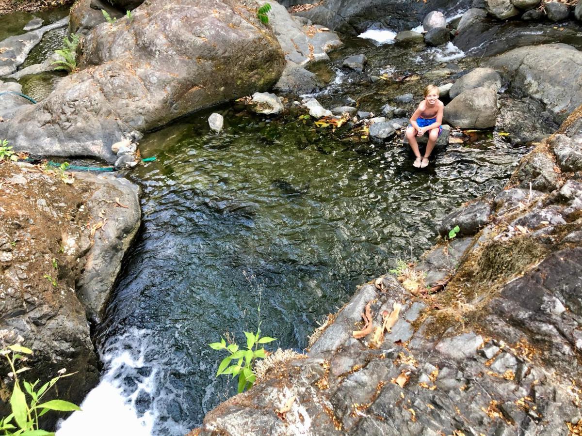 Rio Tico Safari Lodge Punta Mala Eksteriør billede