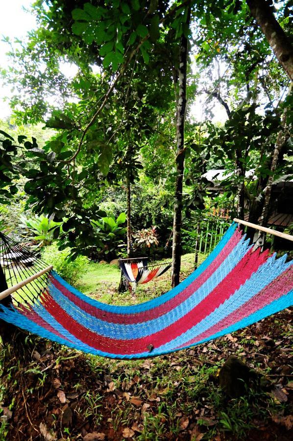 Rio Tico Safari Lodge Punta Mala Eksteriør billede