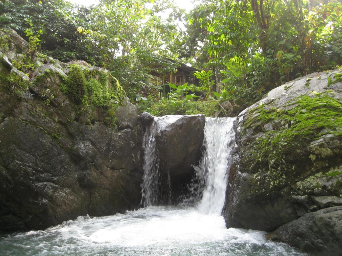 Rio Tico Safari Lodge Punta Mala Eksteriør billede