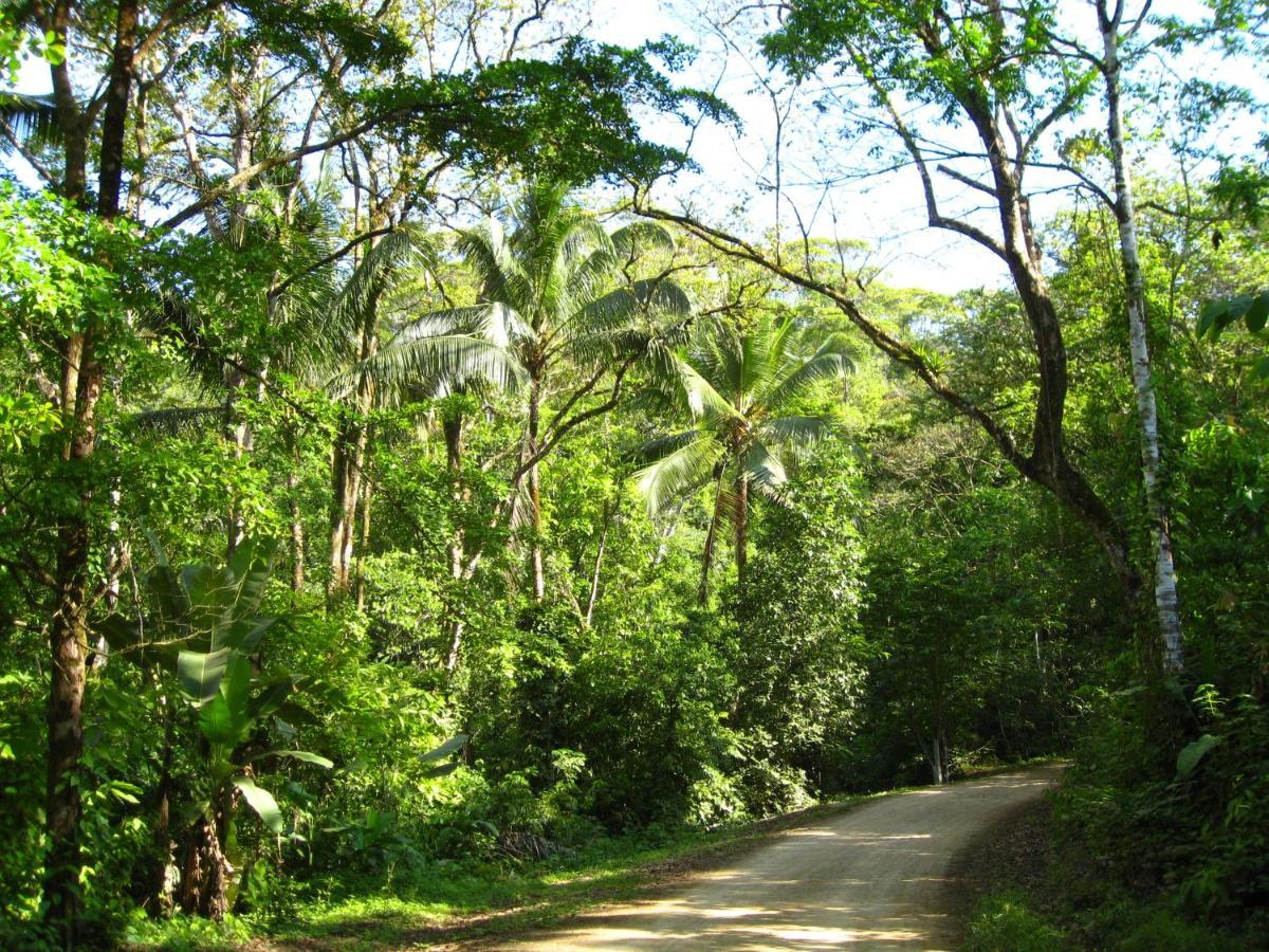 Rio Tico Safari Lodge Punta Mala Eksteriør billede