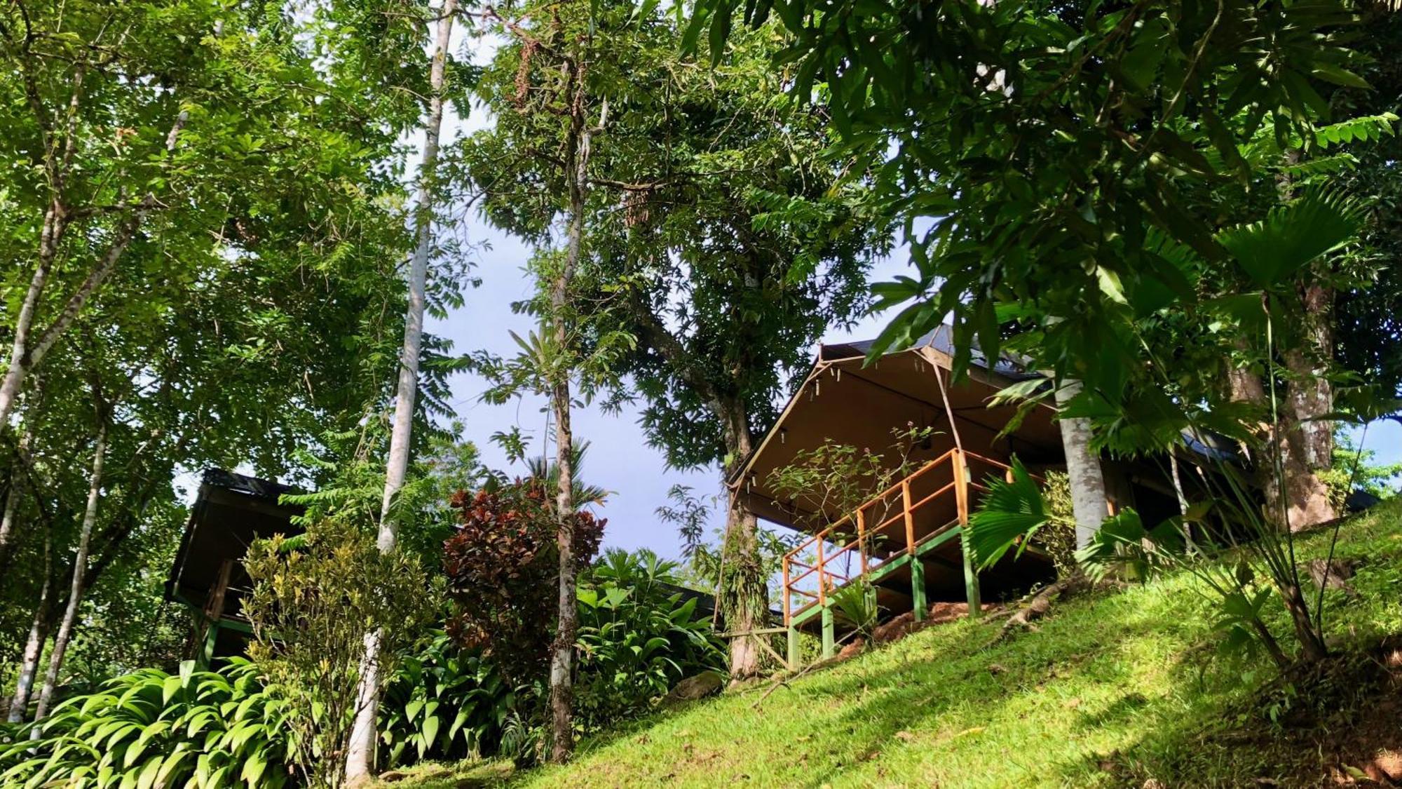 Rio Tico Safari Lodge Punta Mala Eksteriør billede